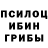Шишки марихуана OG Kush Kenneth Bergan