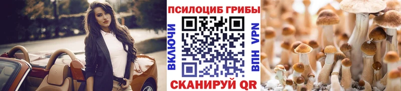 купить наркотики цена  Кубинка  Псилоцибиновые грибы прущие грибы 